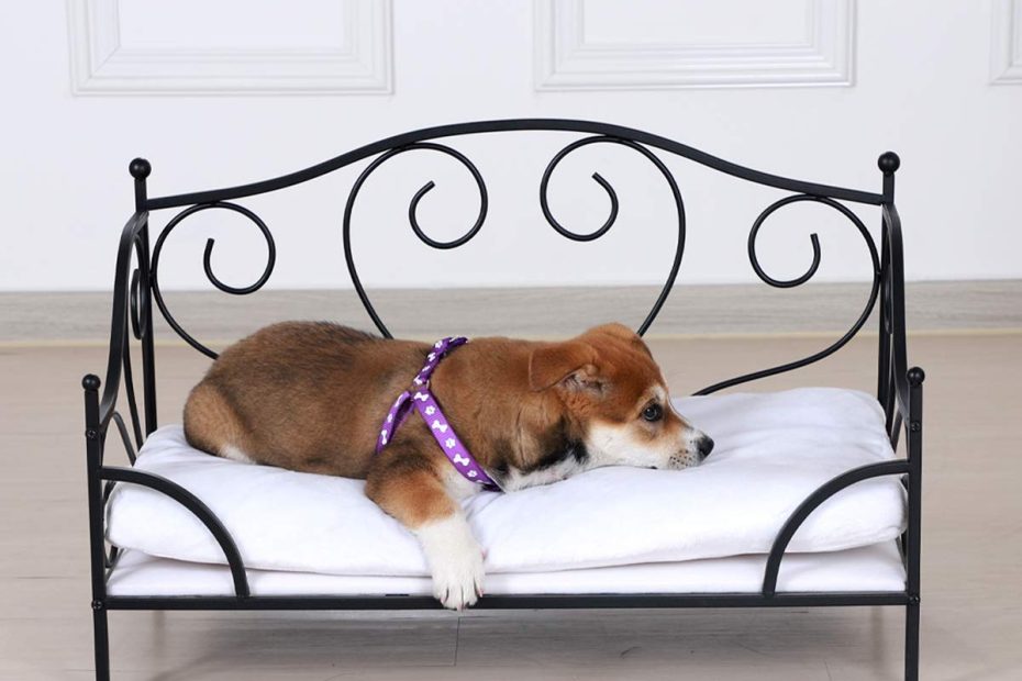 Amazon.Com : Babyland Pet Bed /Pet Sofa With Iron Frame /Bed For Dogs With  Detachable Cushion/ Comfortable Dog Sofas And Chairs /Dog Couch For Summer  Using(Black) : Pet Supplies