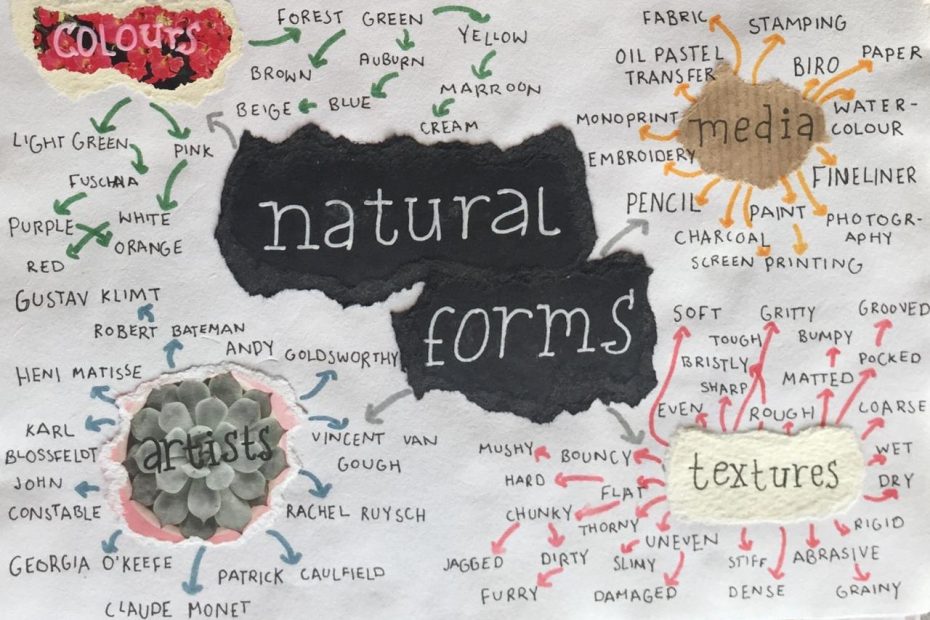 Yr10 - Natural Forms - Visual Mind Map | Natural Form Art, Natural Forms  Gcse, Natural Form Artists