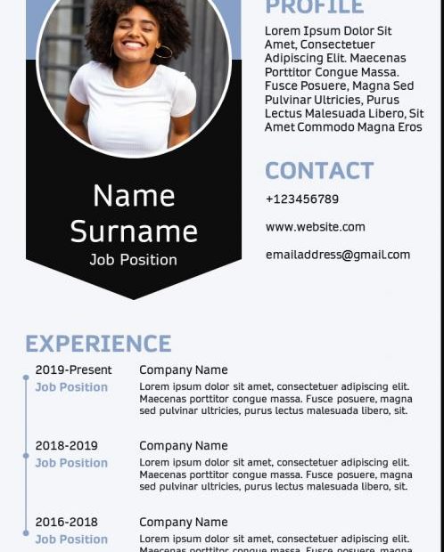 Business Professional Resume Sample A4 Cv Template | Powerpoint Slides  Diagrams | Themes For Ppt | Presentations Graphic Ideas
